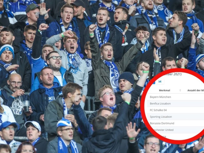 FC Schalke 04 Mitglieder.jpg