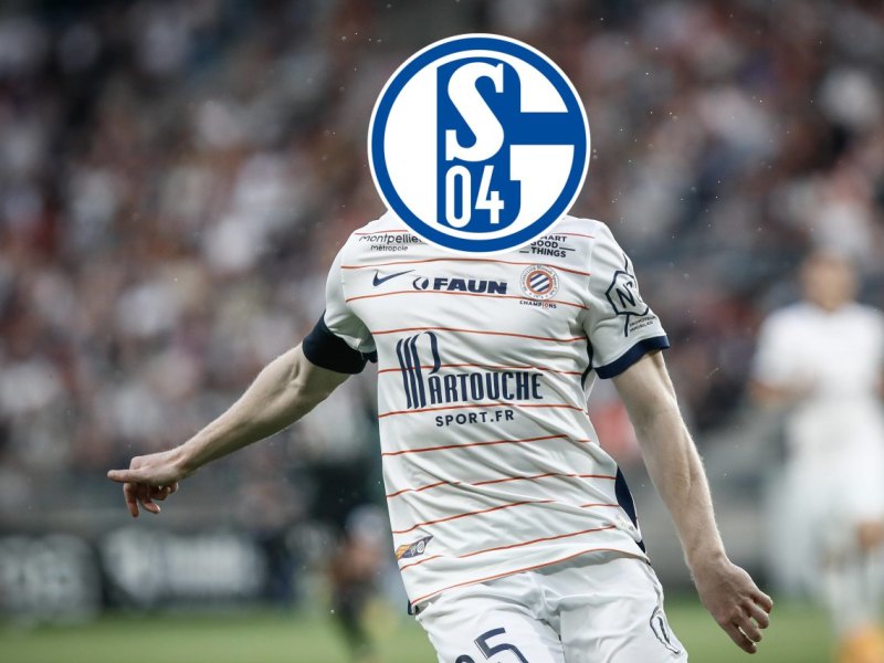 FC Schalke 04 Mollet.jpg