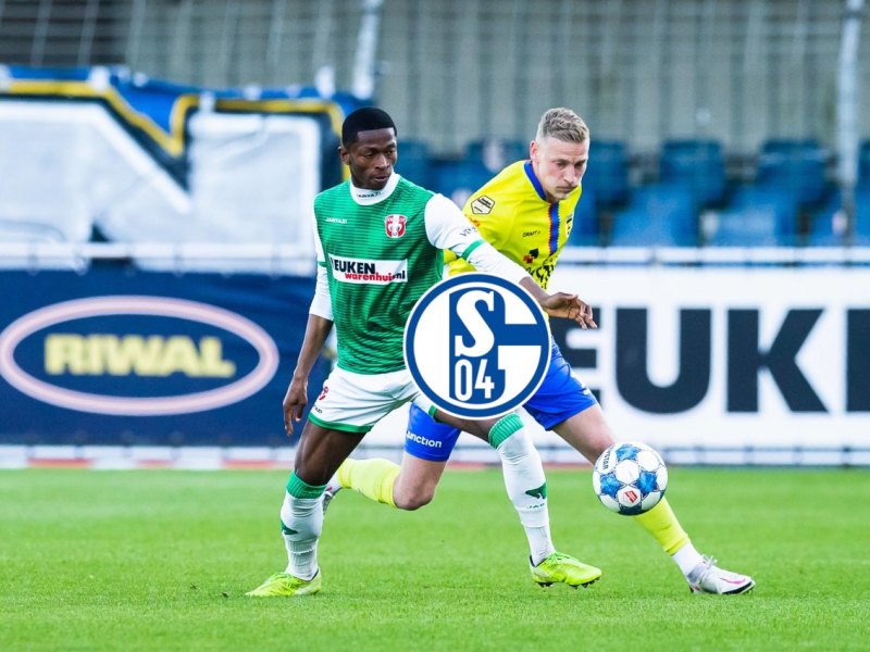 FC Schalke 04 Nelson Amadin.jpg