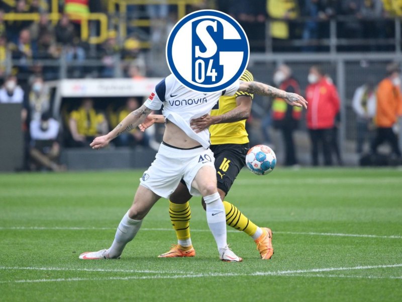 FC Schalke 04 Polter.jpg