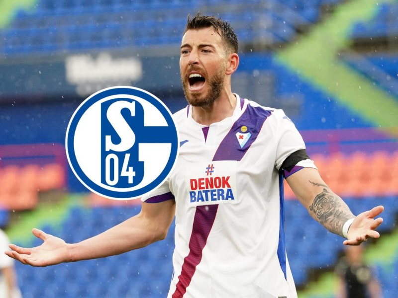 FC Schalke 04 Sergi Enrich.jpg