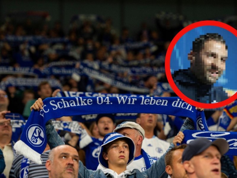 FC Schalke 04 Tedesco (1).jpg