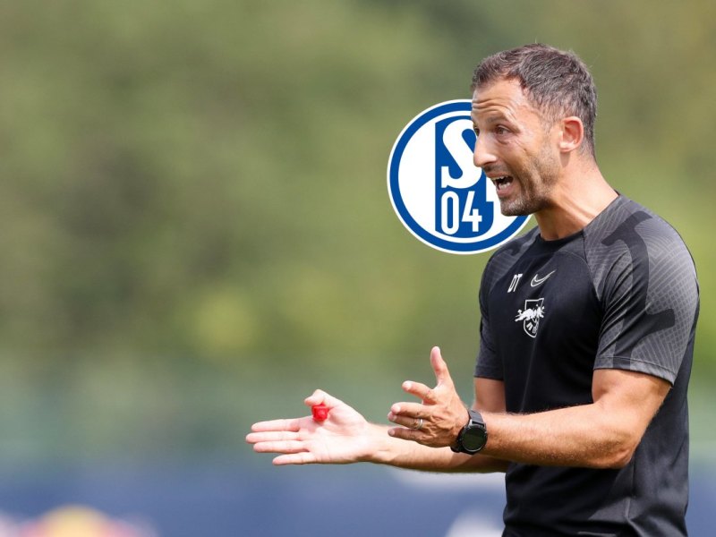 FC Schalke 04 Tedesco Vertrag.jpg