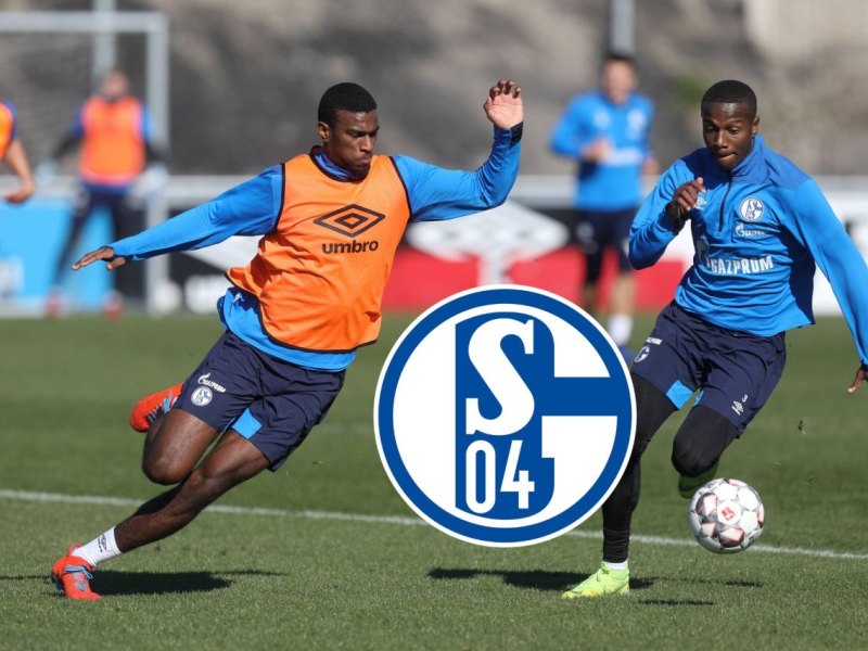 FC Schalke 04 Wright.jpg