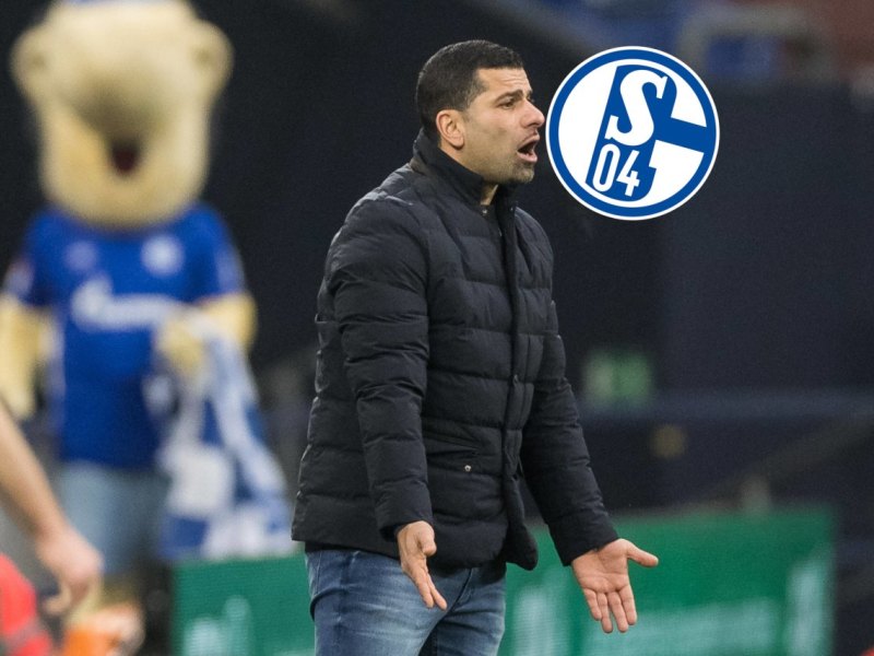 FC Schalke 04 dimi.jpg