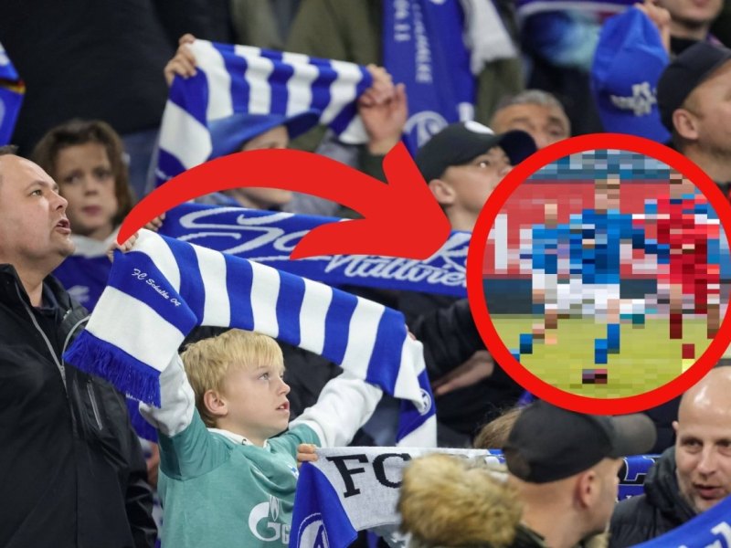 FC Schalke Becker.jpg