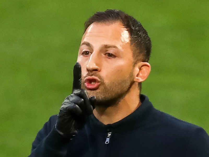 Fc Schalke 04-Tedesco.jpg