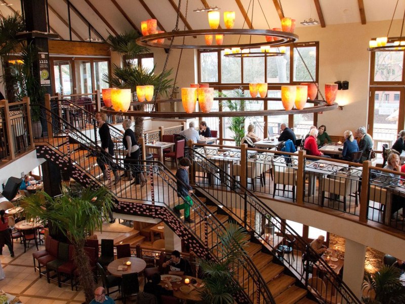 Finca Bielefeld 5.jpg