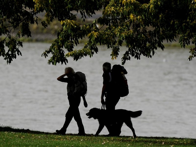 Gassigehen mit Gipfenblick Hundewanderung.jpg