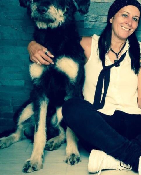 Hund-Elvis-Schneckengift