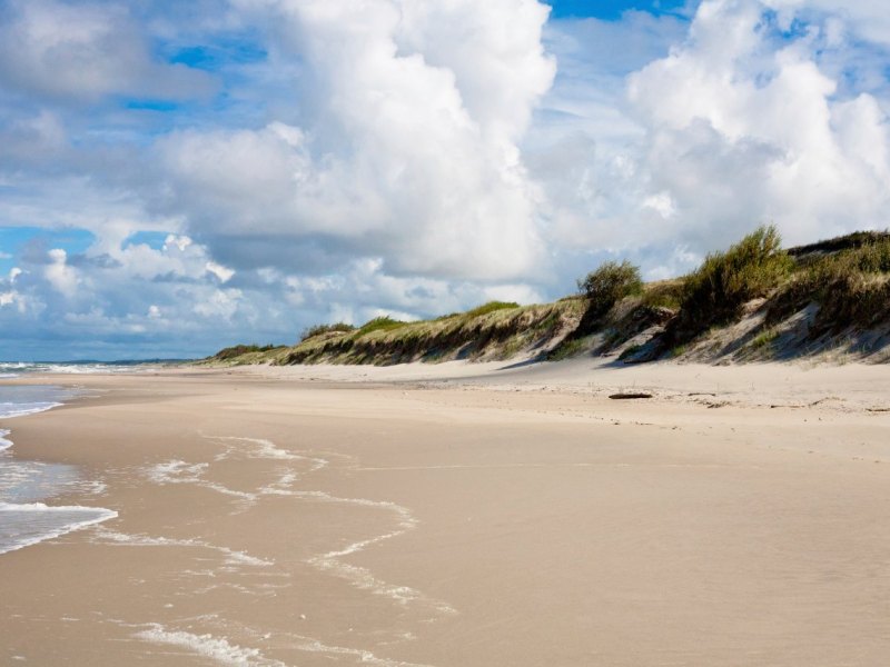 Kurische Nehrung.jpg