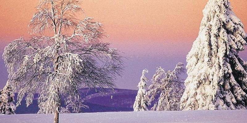 Landschaft Sauerland.jpg