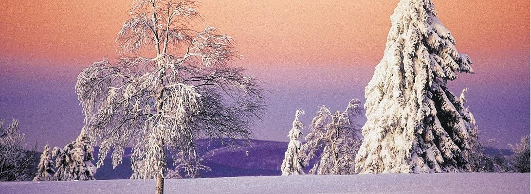 Landschaft Sauerland.jpg