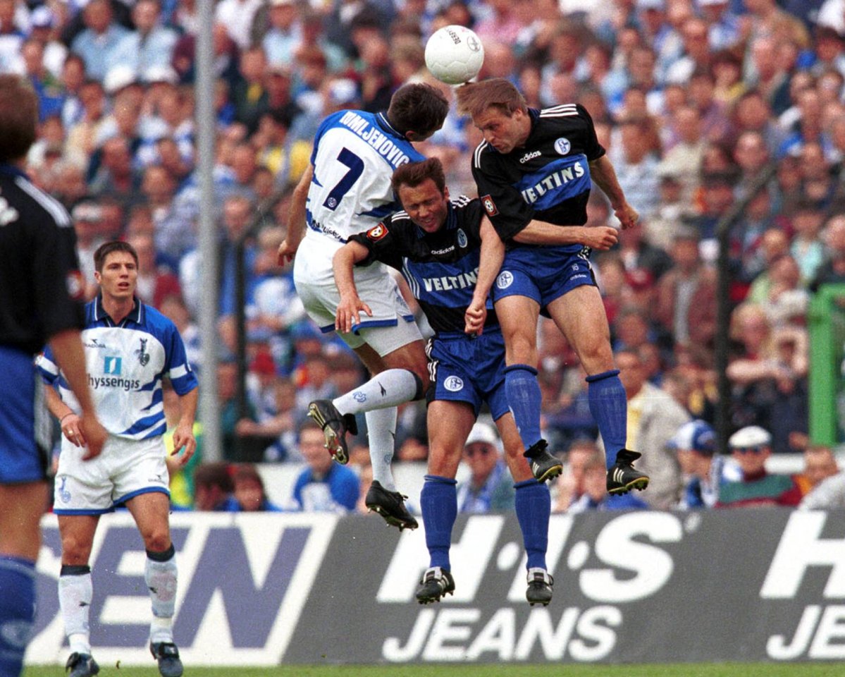 Mandirali Schalke 04