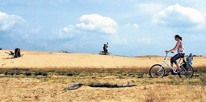 Mini-Wüste De Hoge Veluwe.jpg