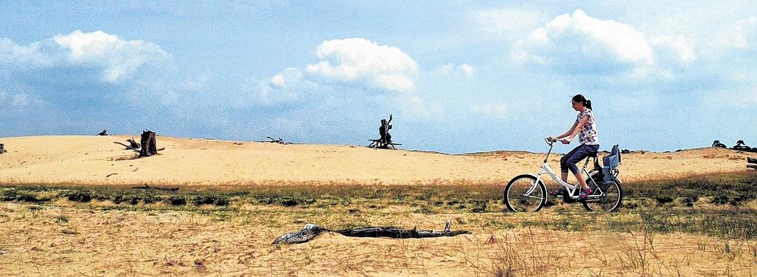 Mini-Wüste De Hoge Veluwe.jpg