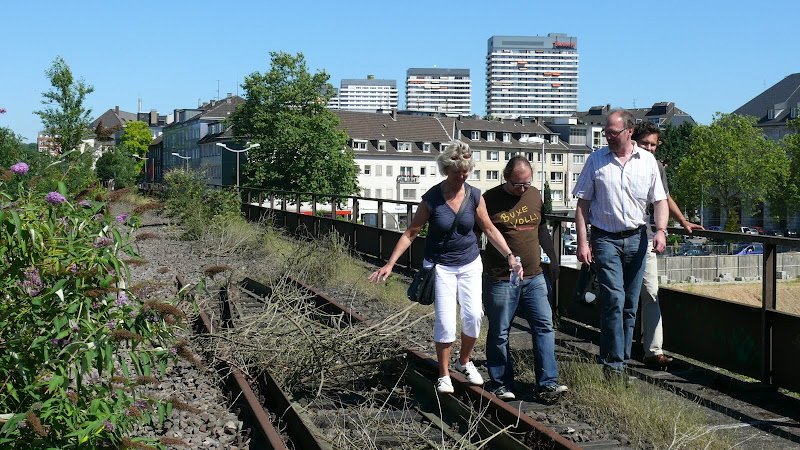 Pol_Rheinische Bahn_49449848.jpg