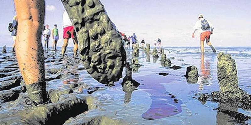 Reise und Tourismus Holland Kollektiv.jpg