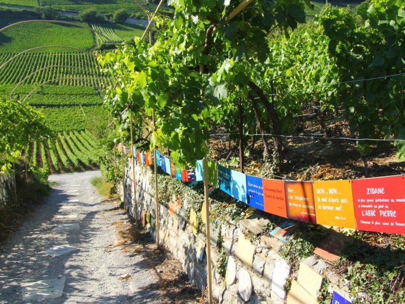 Saillon Weg zum Weinberg mit Promischildern (10).JPG