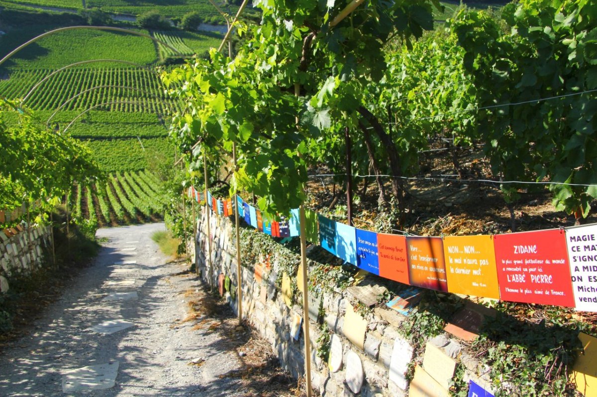 Saillon Weg zum Weinberg mit Promischildern (10).JPG