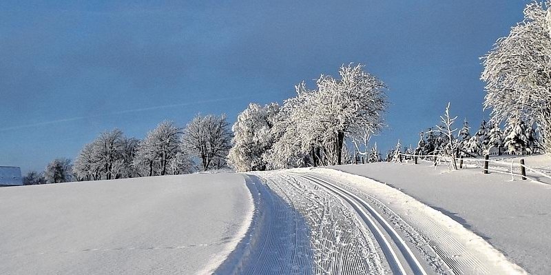 Sauerland Langlauf Ski Loipe.jpg