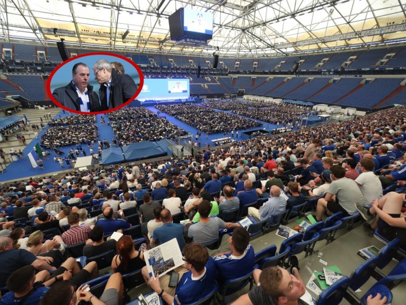 Schalke Aufsichtsrat Peters.jpg