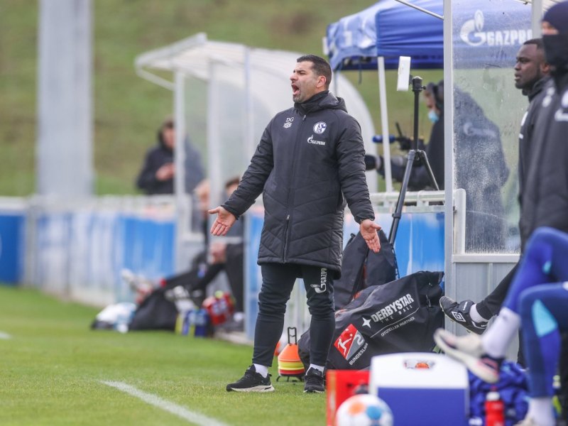 Schalke Fortuna Sittard