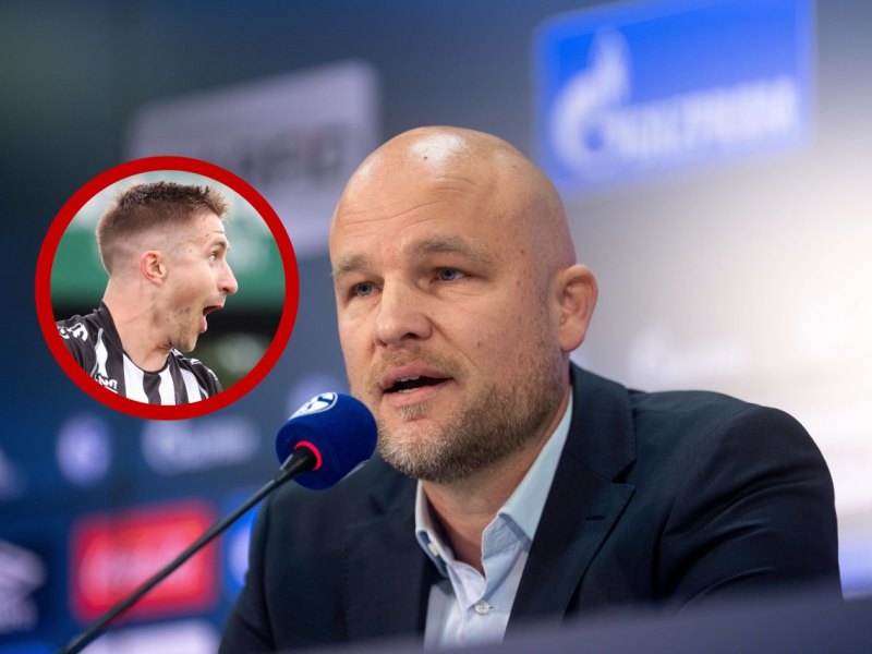 Schalke Ranftl S04.jpg