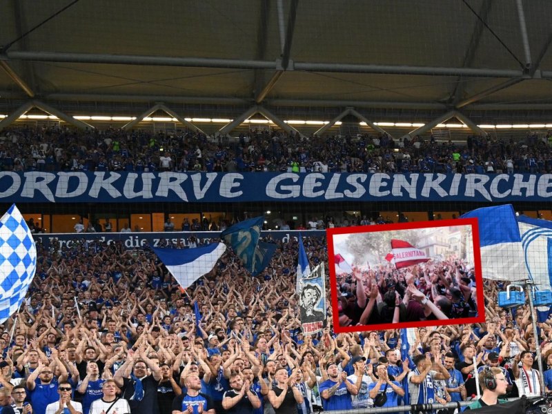 Schalke Salerno Fans Jubel.jpg