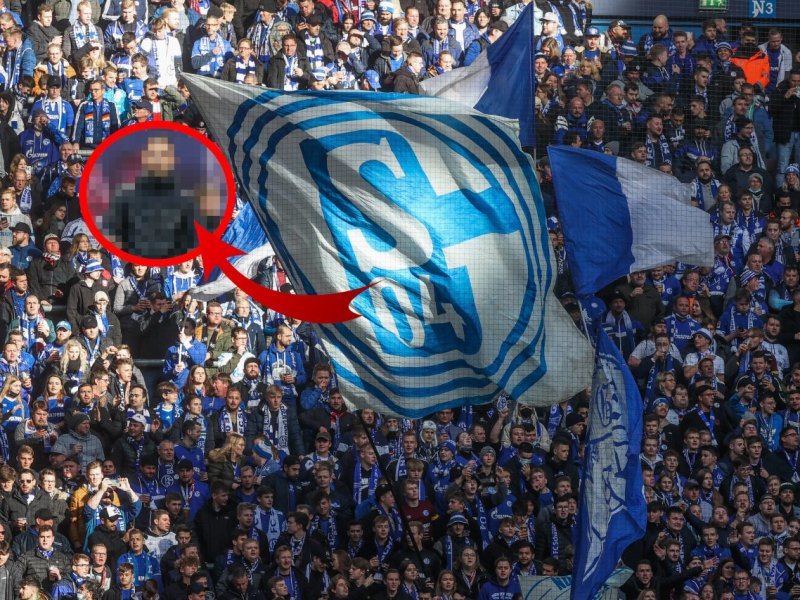 Schalke Tedesco.jpg