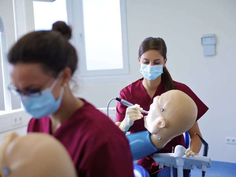 Schnupperstudium Zahnmedizin Uni Witten_Herdecke.jpg