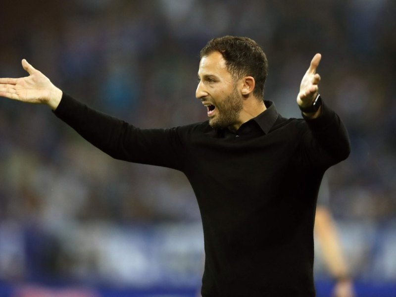 Tedesco Schalke S04.JPG