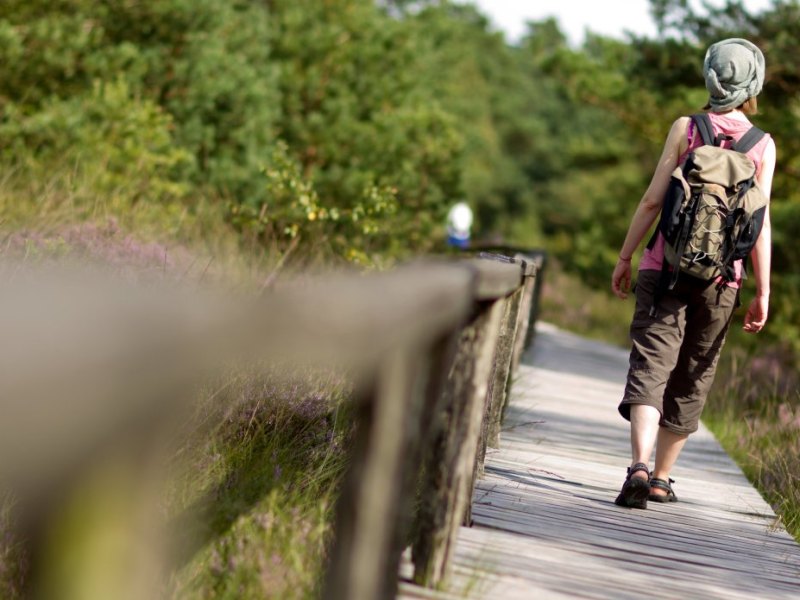 Touristin Pietzmoor.jpg