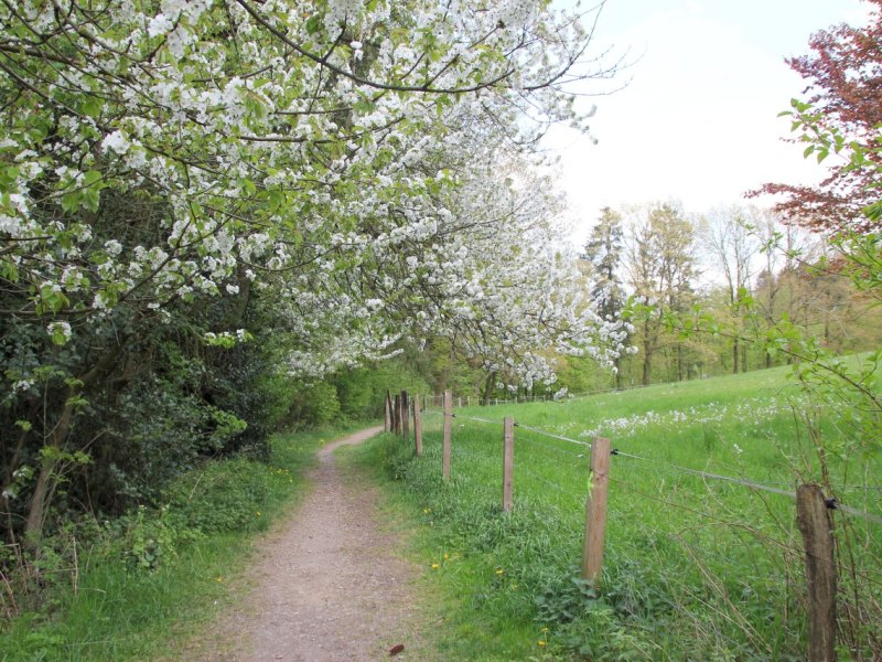 Wanderweg.jpg