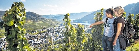Wein-und-Wandern-an-der-Mosel--543x199.jpg