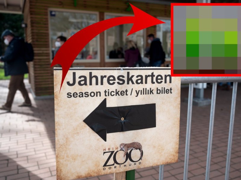 Zoo Dortmund.jpg