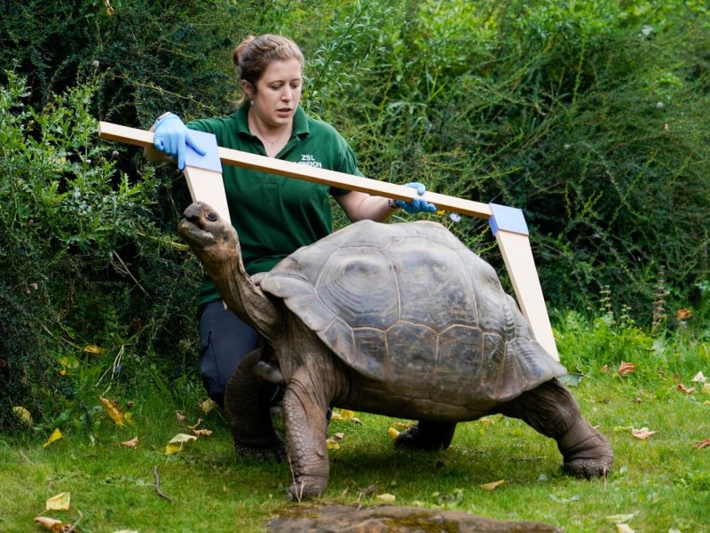 Zoo Dortmund Tag des Tierpflegers.jpg