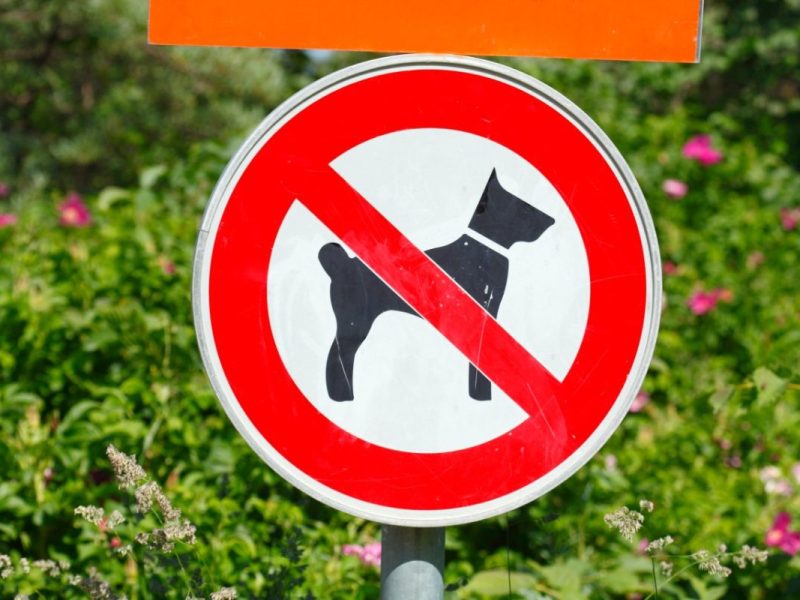 Zoo mit Hund in NRW: In diesen Tierparks ist dein Vierbeiner willkommen