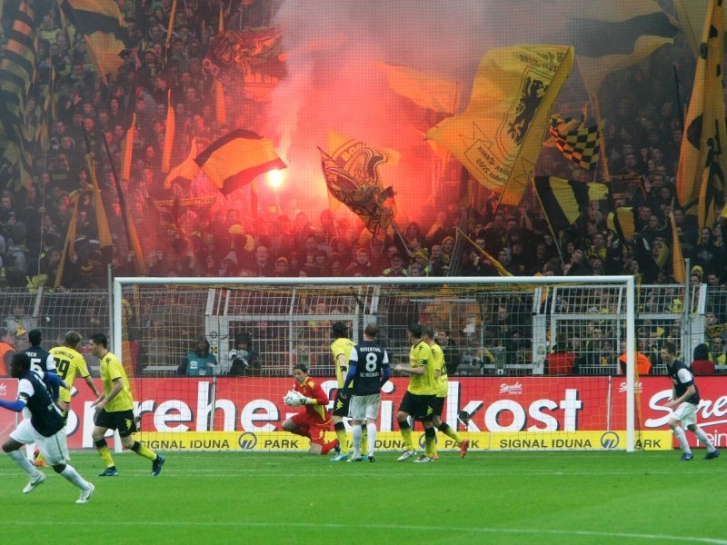 bengalos_bvb.jpg