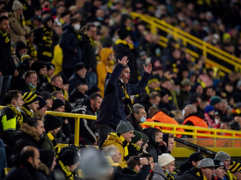 bvb-fans.jpg