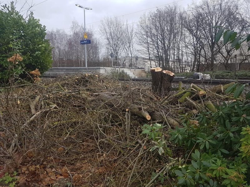 deutsche-bahn-garten-dortmund