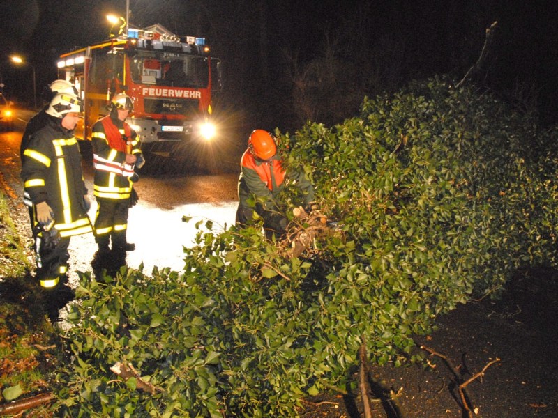 In Dorsten stürzte an der Straße Wittenbrink ein Baum auf die Straße, der von der Feuerwehr zerlegt werden musste. Foto: Guido Schulmann / WAZ FotoPool, Orkan Andrea fegte einen Autofahrer von der Straße. Foto: Polizei