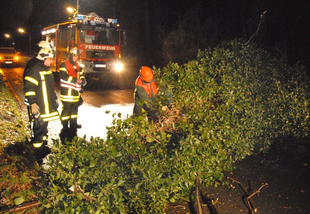In Dorsten stürzte an der Straße Wittenbrink ein Baum auf die Straße, der von der Feuerwehr zerlegt werden musste. Foto: Guido Schulmann / WAZ FotoPool, Orkan Andrea fegte einen Autofahrer von der Straße. Foto: Polizei