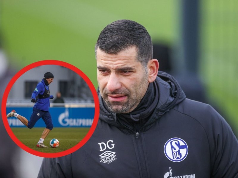 fc schalke becker.jpg
