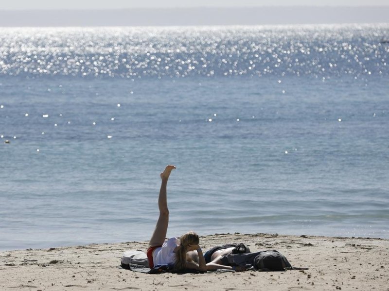 file7ljm3gup681cpt8n6i2.jpgMenschen sonnen sich am Strand von Palmanova auf der Urlaubsinsel Mallorca. Auf Mallorca beginnt die Hochsaison Anfang Mai.