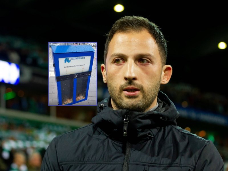 gelsenkirchen-tedesco-schalke