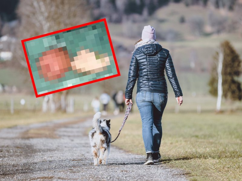 hund dortmund köder.jpg