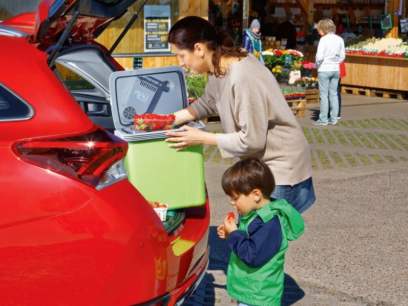 kühlbox auto.jpg