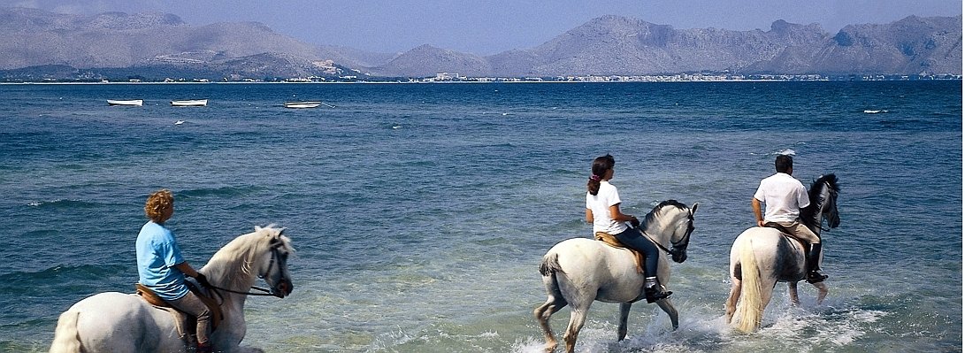 reiten-mallorca-6000359a--656x240.jpg