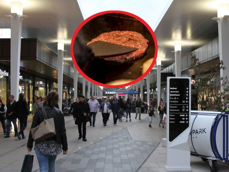 ruhr-park-bochum-traumkuh